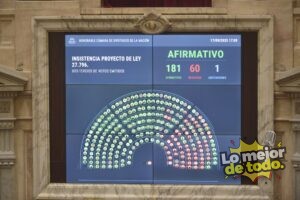 Política Contundente rechazo a los vetos de Milei: Diputados ratificó el financiamiento del Garrahan y las universidades